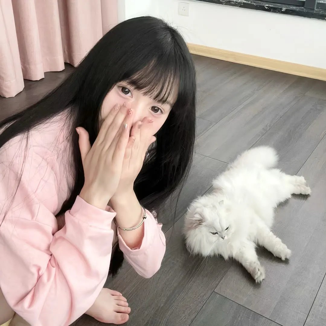 脱线家族2